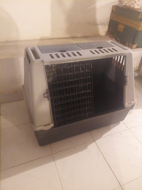 Trasportino cani taglia media per auto